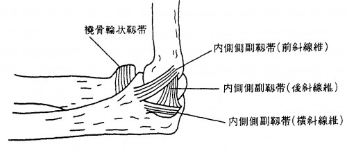 肘